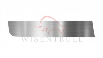 Ремкомплект левой двери Wisentbull Renault Laguna  X56 (1993-2001) лифтбэк дорестайлинг, универсал дорестайлинг, лифтбэк рестайлинг, универсал рестайлинг