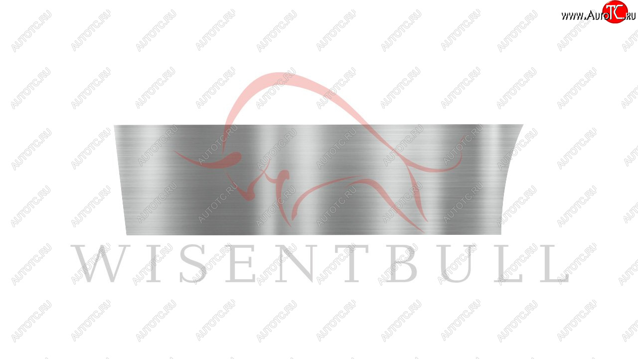 1 989 р. Ремкомплект левой двери Wisentbull  Toyota Opa (2000-2005)  с доставкой в г. Керчь
