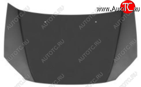 14 399 р. Капот (Тайвань) BodyParts Hyundai Getz TB хэтчбэк 5 дв. дорестайлинг (2002-2005) (Неокрашенный)  с доставкой в г. Керчь