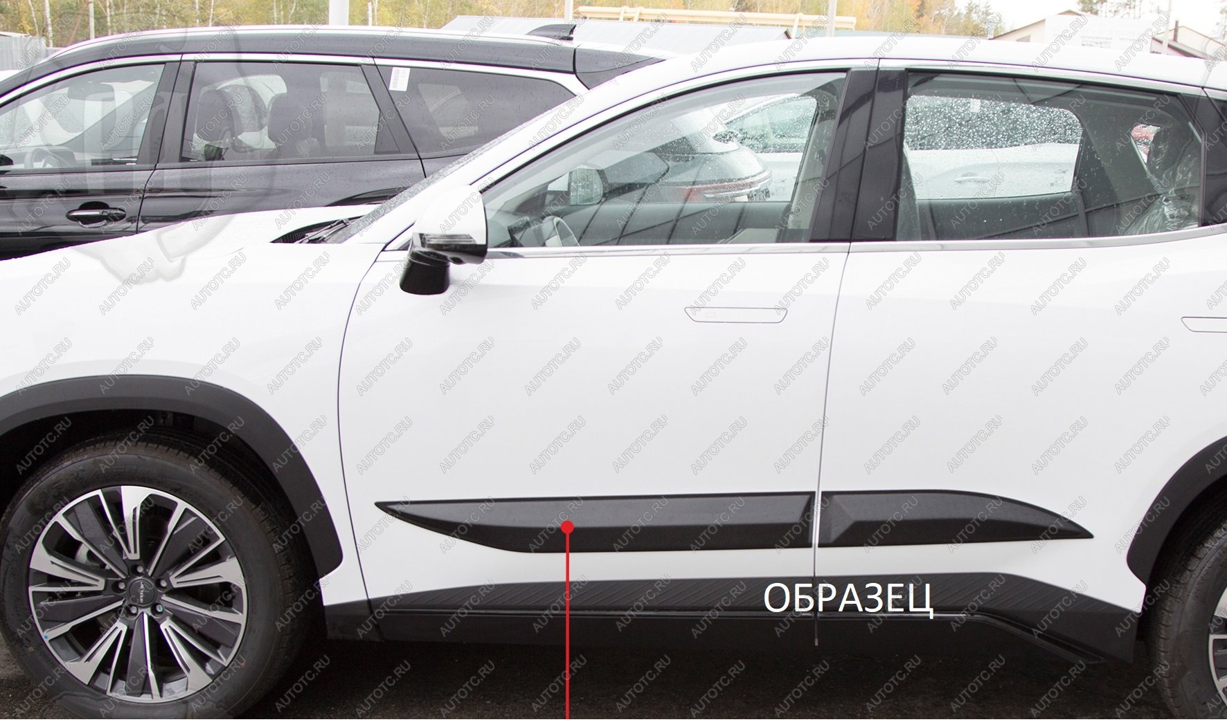 729 р. Молдинг двери задний правый Русская Артель  Mitsubishi ASX (2017-2020) 2-ой рестайлинг (шагрень)  с доставкой в г. Керчь