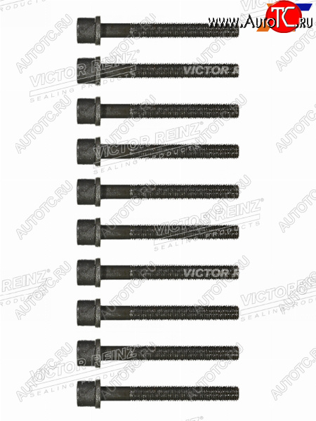 1 299 р. Комплект болтов  ГБЦ VAG 80100A6PASSAT AAMAAEAADABK VICTOR REINZ 14-32046-01  с доставкой в г. Керчь