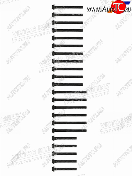 2 899 р. Комплект болтов  ГБЦ MBSSANGYONG  E(W210)G(W461W463)SPRINTER KORANDO OM662 VICTOR REINZ 14-32031-02  с доставкой в г. Керчь