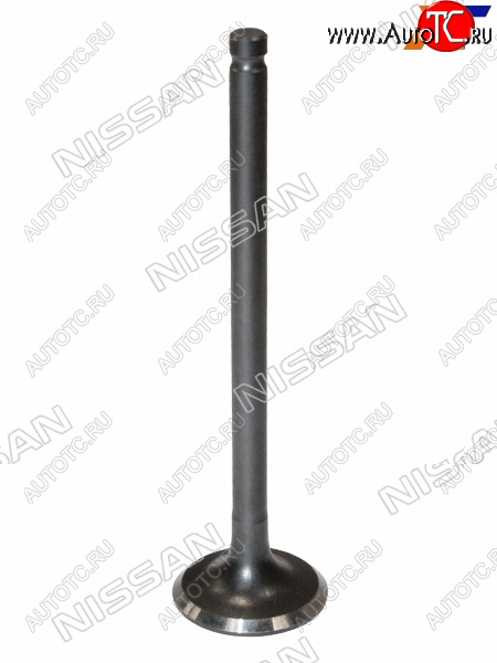 1 779 р. Клапан выпускной NISSAN ALMERA 06-12  QG16 NISSAN 13202-95F0B  с доставкой в г. Керчь