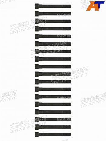 3 199 р. Комплект болтов ГБЦ MITSUBISHI PAJEROL200 4D56 VICTOR REINZ 14-55015-01  с доставкой в г. Керчь. Увеличить фотографию 1