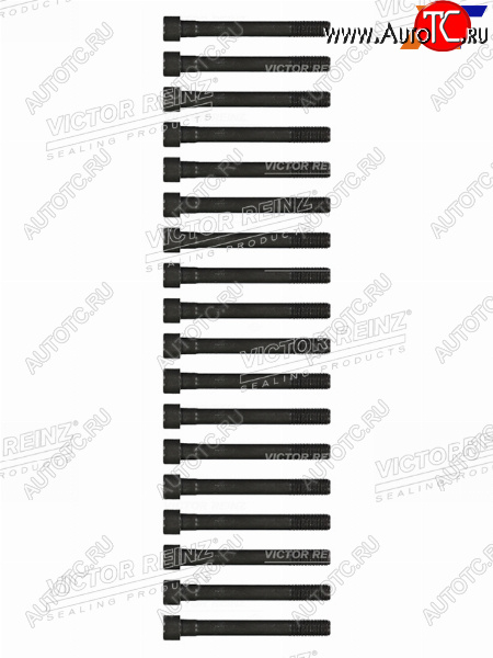 3 199 р. Комплект болтов ГБЦ MITSUBISHI PAJEROL200 4D56 VICTOR REINZ 14-55015-01  с доставкой в г. Керчь