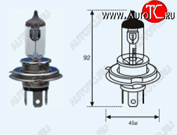 212 р. H4 (12V-60-55W  P43T Long Life) ЛАМПА УПАКОВКА (1 шт) SELUM BODYPARTS lp0h400-981-o  с доставкой в г. Керчь
