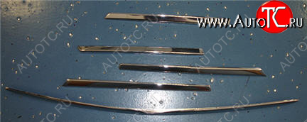 5 249 р. W163ML МОЛДИНГ РЕШЕТКИ РАДИАТОРА (5шт) (комплект) ТЮНИНГ (Тайвань) ХРОМ API md16398-120h  с доставкой в г. Керчь
