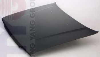 N13 КАПОТ (Тайвань) TYG nnn1386-330