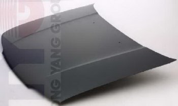 P10 КАПОТ (Тайвань) TYG nnp1091-330