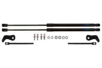 2 999 р. Упоры капота для FORD Focus, 2004-2008, к-т 2 шт  Форд Фокус Arbori arbori.hd.012103  с доставкой в г. Керчь. Увеличить фотографию 1