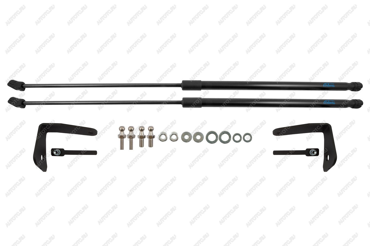 3 499 р. Упоры капота для TOYOTA RAV4 XA40, 2015-2019, к-т 2 шт  Тойота Рав 4 Arbori arbori.hd.043103  с доставкой в г. Керчь