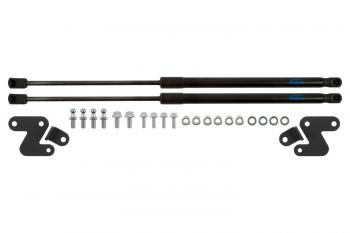 Упоры капота Arbori Honda Odyssey  RC4,RC1,RC2 (2020-2023) 2-ой рестайлинг