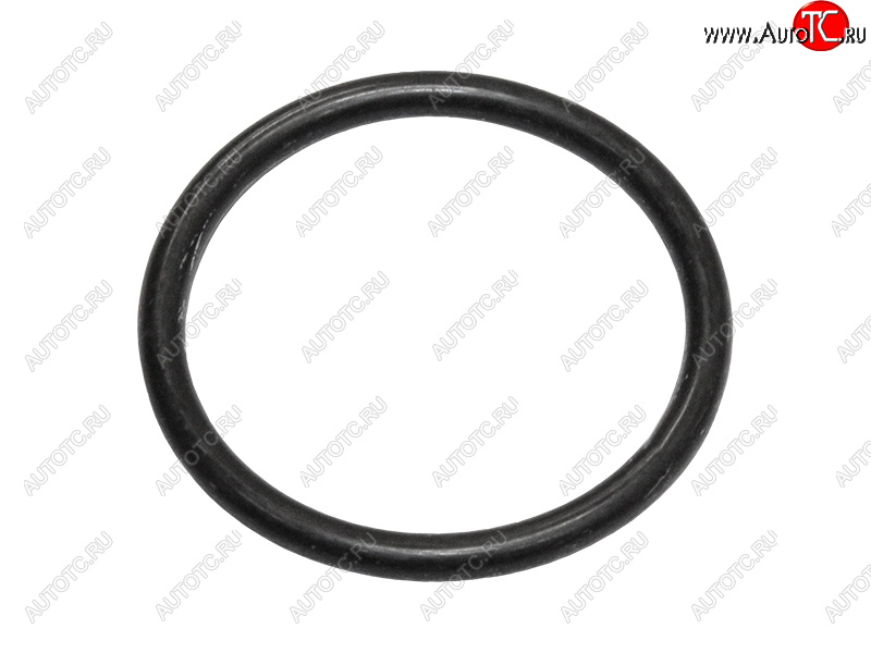349 р. Кольцо уплотнительное лобовины малое NISSAN QR25DE NISSAN 15066-6N202  с доставкой в г. Керчь