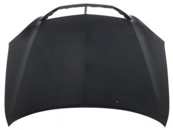 RX300 КАПОТ (Тайвань) BodyParts lxrx303-330