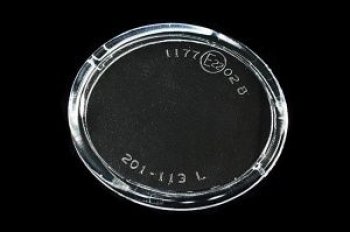 P12 02- {ALMERA 02-MICRA 02-QASHQAI 09-TEANA 08-LAGUNA 01-CLIO 01-} СТЕКЛО ФАРЫ ПРОТИВОТУМ ЛЕВ BodyParts nnp1202-080-l