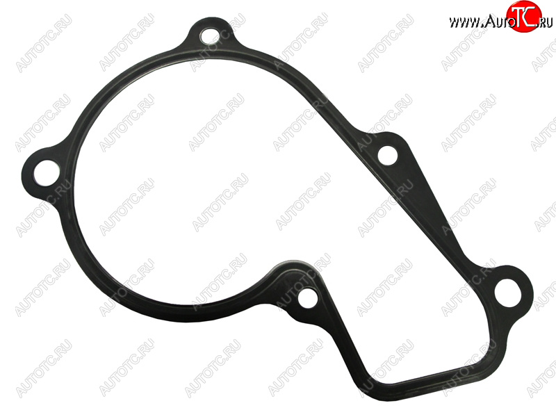 419 р. Прокладка насоса водяного охлаждения HYUNDAI CRETAELANTRATUCSONKIA CERATOSPORTAGE 17- G4NA 2,0 HYUNDAI 25124-2E000  с доставкой в г. Керчь