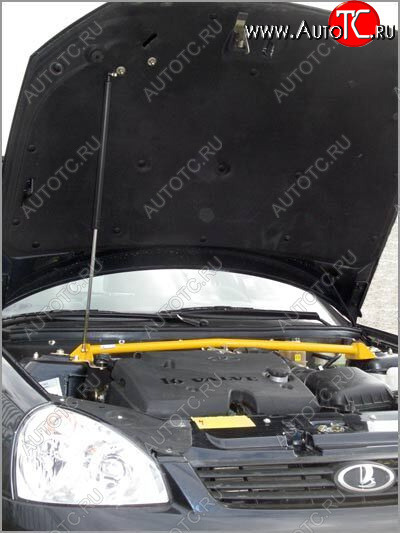 1 649 р. Упор капота Lada Priora ТехноМастер (без кронштейна) ТехноМастер 8231.0400.04  с доставкой в г. Керчь