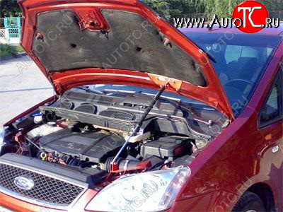 2 699 р. Упор капота Ford Focus C-Max (2003-2010) ТехноМастер ТехноМастер 8231.5500.04  с доставкой в г. Керчь