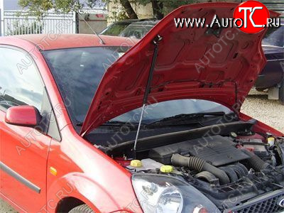 2 699 р. Упор капота Ford Fiesta V (2001-2009) ТехноМастер ТехноМастер 8231.5900.04  с доставкой в г. Керчь