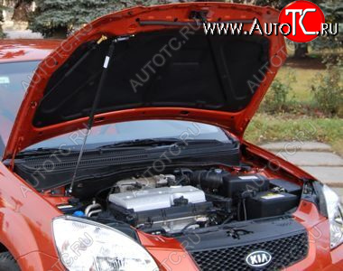 2 699 р. Упор капота Kia Rio II (2005-2011) ТехноМастер ТехноМастер 8231.6900.04  с доставкой в г. Керчь