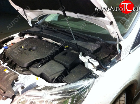 2 699 р. Упор капота Ford Focus III (2011-н.в.) ТехноМастер ТехноМастер 8231.7700.04  с доставкой в г. Керчь