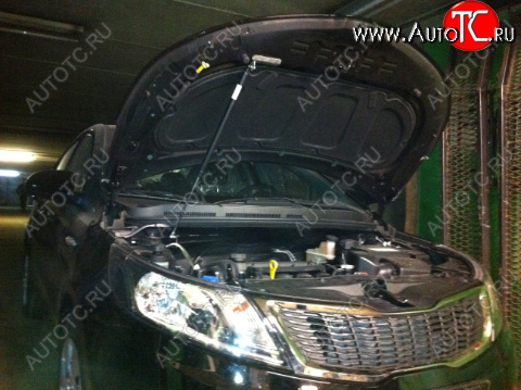 2 449 р. Упор капота KIA Rio III (2011-н.в.) ТехноМастер ТехноМастер 8231.7800.04  с доставкой в г. Керчь