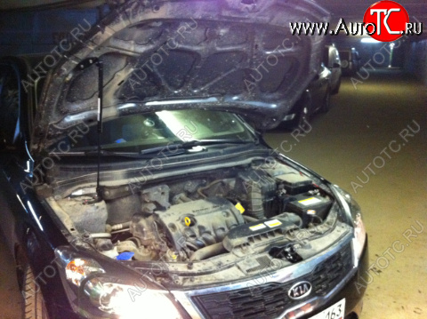 2 049 р. Упор капота Kia Ceed I (2010-2012) ТехноМастер ТехноМастер 8231.8000.04  с доставкой в г. Керчь