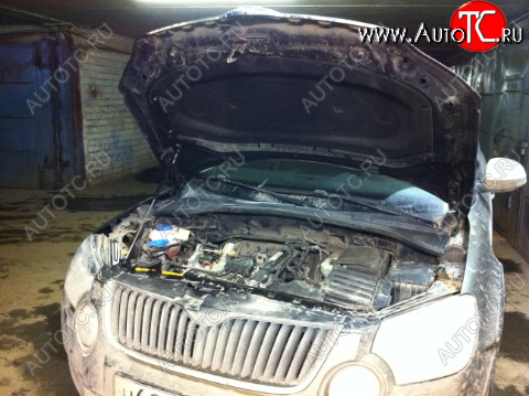 1 669 р. Упор капота Skoda Yeti I (2009-2013) ТехноМастер ТехноМастер 8231.8500.04  с доставкой в г. Керчь