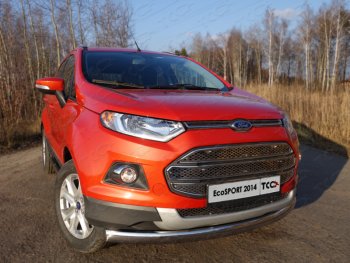 Защита переднего бампера нижняя овальная 75х42 мм ТСС Тюнинг Ford EcoSport дорестайлинг (2013-2019) (нержавейка)