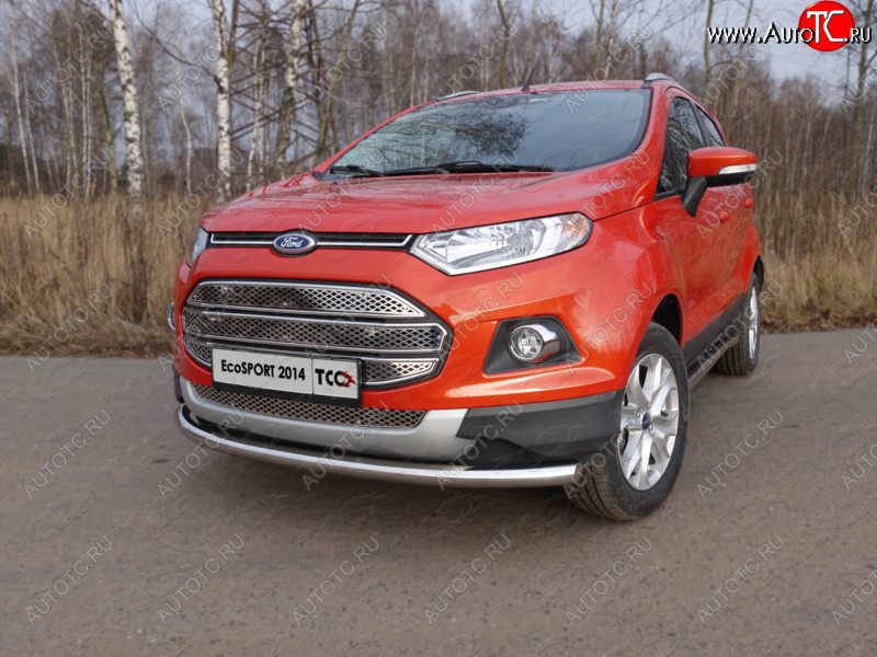 12 999 р. Защита переднего бампера нижняя d60,3 мм ТСС Тюнинг Ford EcoSport дорестайлинг (2013-2019) (нержавейка)  с доставкой в г. Керчь