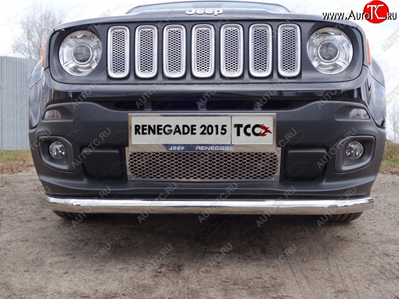 1 000 000 р.  ТСС Тюнинг JEEPRenegade 4WD 2015- - Решетка радиатора верхняя (лист)  jeepren4wd1507  с доставкой в г. Керчь