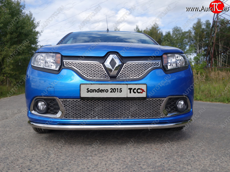 1 000 000 р. Вставка переднего бампера ТСС Тюнинг Renault Sandero (B8) дорестайлинг (2014-2018) (лист 16 мм)  с доставкой в г. Керчь