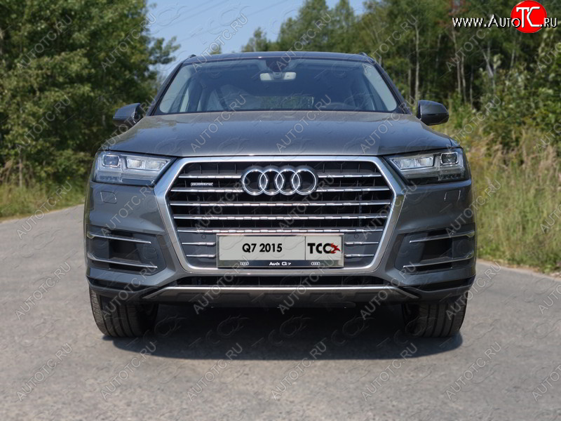 5 999 р. Рамка гос. номера ТСС Тюнинг  Audi Q7  4M (2015-2020) дорестайлинг (нержавейка)  с доставкой в г. Керчь