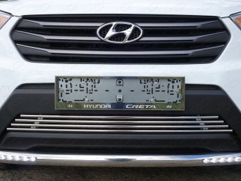 Рамка гос. номера ТСС Тюнинг Hyundai Creta GS дорестайлинг (2015-2019) (нержавейка)