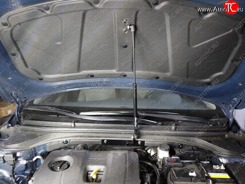 2 999 р. Упор капота ТСС Тюнинг HYUNDAI Elantra 2016-  hyunela1601y  с доставкой в г. Керчь