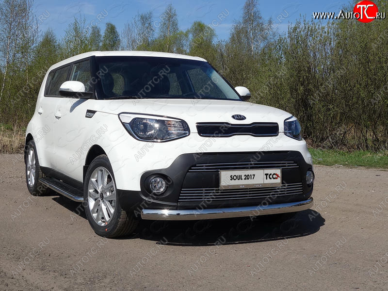 1 000 000 р. Рамка гос. номера ТСС Тюнинг KIA Soul PS рестайлинг (2017-2019) (нержавейка)  с доставкой в г. Керчь