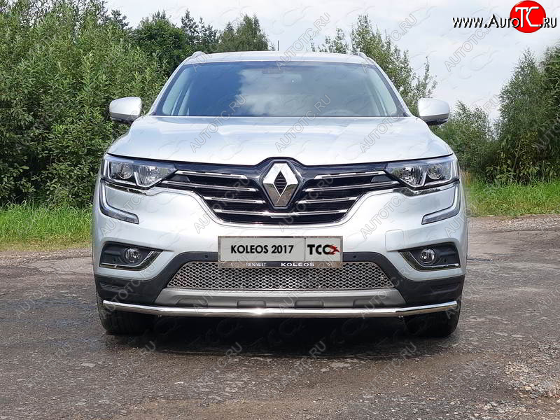 5 999 р. Рамка гос. номера ТСС Тюнинг  Renault Koleos  2 (2016-2025) (нержавейка)  с доставкой в г. Керчь