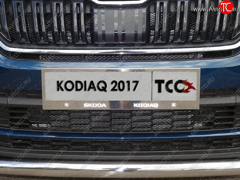 5 999 р. Рамка гос. номера ТСС Тюнинг Skoda Kodiaq NU7 дорестайлинг (2017-2021) (нержавейка)  с доставкой в г. Керчь