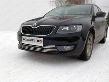 Рамка гос. номера ТСС Тюнинг Skoda Octavia  A7 (2012-2017) дорестайлинг лифтбэк, дорестайлинг универсал (нержавейка)