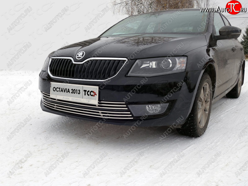 5 999 р. Рамка гос. номера ТСС Тюнинг  Skoda Octavia  A7 (2012-2017) дорестайлинг лифтбэк, дорестайлинг универсал (нержавейка)  с доставкой в г. Керчь