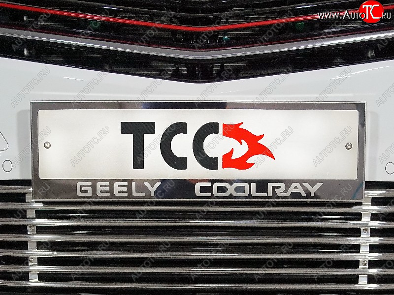 4 999 р. Рамка гос. номера ТСС Тюнинг  Geely Coolray  SX11 (2018-2023) дорестайлинг (нержавейка)  с доставкой в г. Керчь