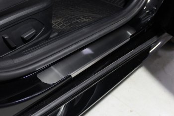 Накладки на пороги ТСС Тюнинг Hyundai Sonata DN8 (2019-2022) (Лист шлифованный)