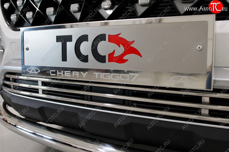 4 999 р. Рамка гос. номера ТСС Тюнинг Chery Tiggo 7 PRO (2019-2025) (нержавейка)  с доставкой в г. Керчь