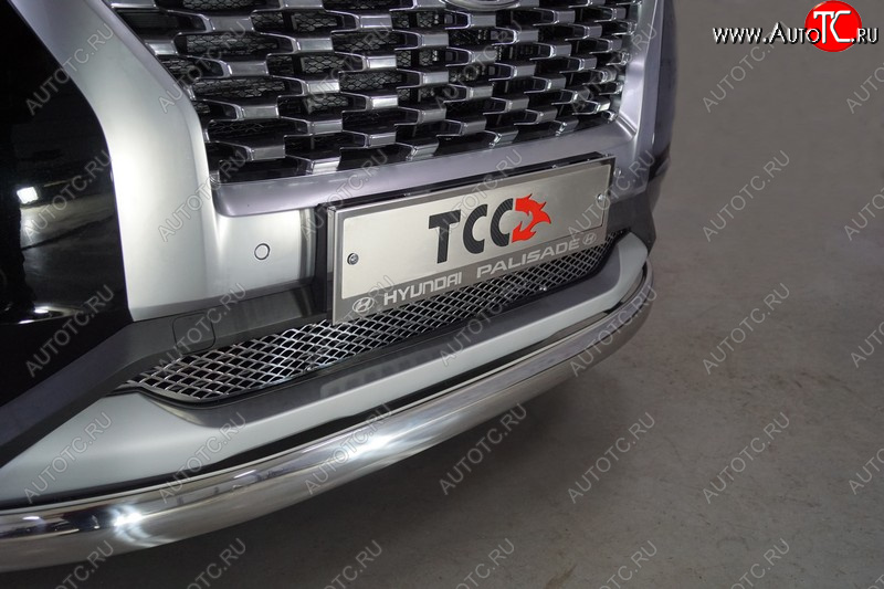 4 999 р. Рамка гос. номера ТСС Тюнинг  Hyundai Palisade  LX2 (2018-2022) (нержавейка)  с доставкой в г. Керчь