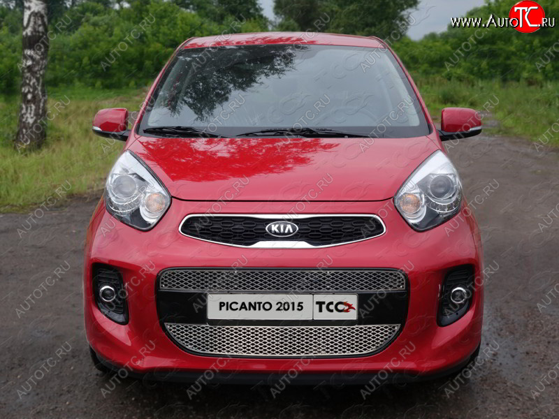 1 000 000 р.  ТСС Тюнинг KIAPicanto II 2011-2017 - Решетка радиатора средняя (лист)  kiapic1501  с доставкой в г. Керчь