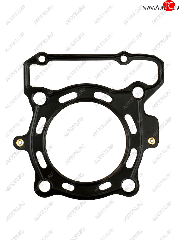 2 799 р. Прокладка ГБЦ CHAKIN Kawasaki KLX300R 97-07 11004-0091  100k-007  с доставкой в г. Керчь