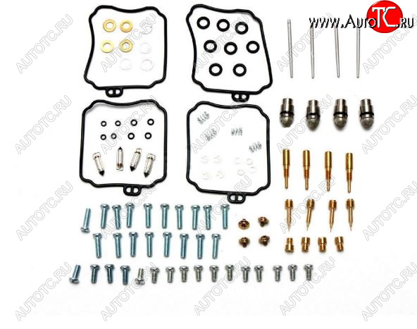 13 999 р. Ремкомплект карбюратора ALL BALLS Yamaha XVZ13 Royal Star 96-98 (26-1641)  26-1641  с доставкой в г. Керчь