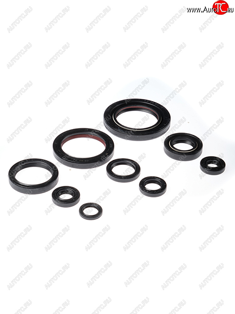2 899 р. Комплект сальников двигателя BWX Honda TRX450ER 06-14, TRX450R 06-09 (822312)  osk30312  с доставкой в г. Керчь