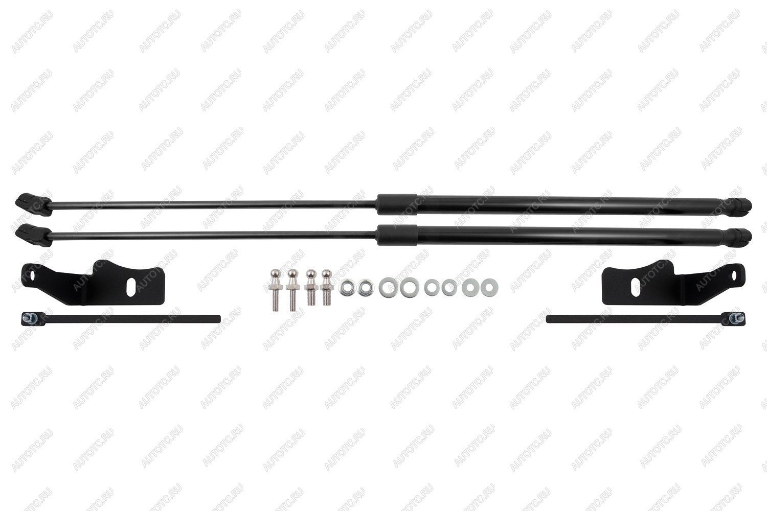 4 899 р. Амортизаторы капота для DongFeng Glorу 600, 2024-, к-т 2 шт  ДонгФенг Глори 600 EASYLIFT easylift 076.102  с доставкой в г. Керчь