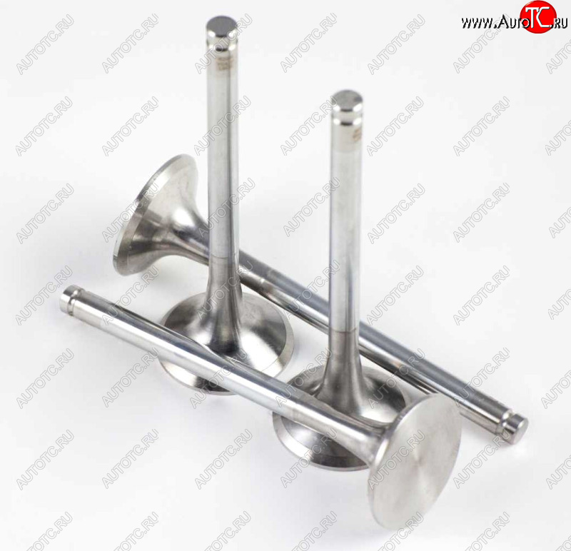 459 р. Клапан WD615 Евро2 выпускной D=50 d=11 H=159 HOWO SHACMAN vg1560050041612600050025  с доставкой в г. Керчь